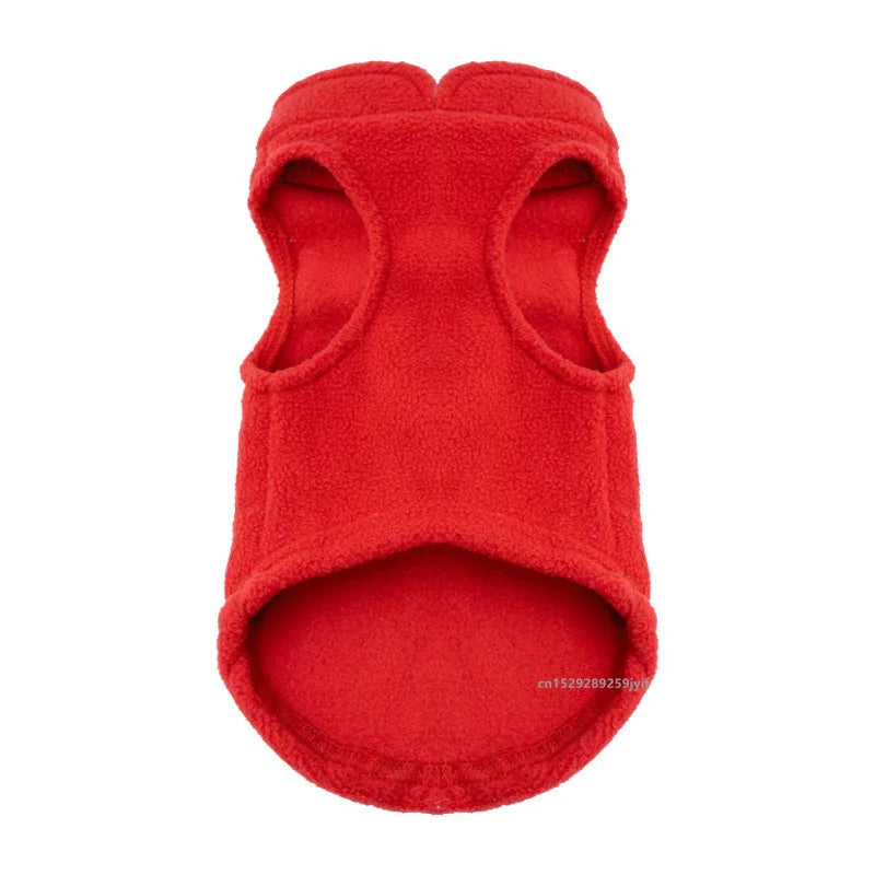 Winter Dog Jacket with D-Ring – Warm Coat for Small Dogs & Cats - Best Bark Bargains