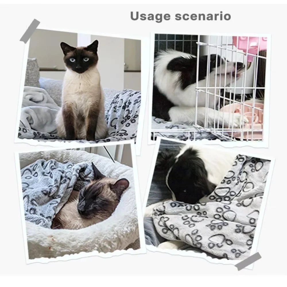 Fuzzy Dog Blanket – Give Your Pet the Gift of Ultimate Comfort! - Best Bark Bargains