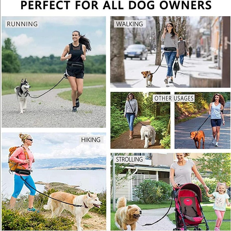 Hands-Free Dog Walking Belt – Shock-Absorbing Bungee Leash for Large Dogs with Storage Holder