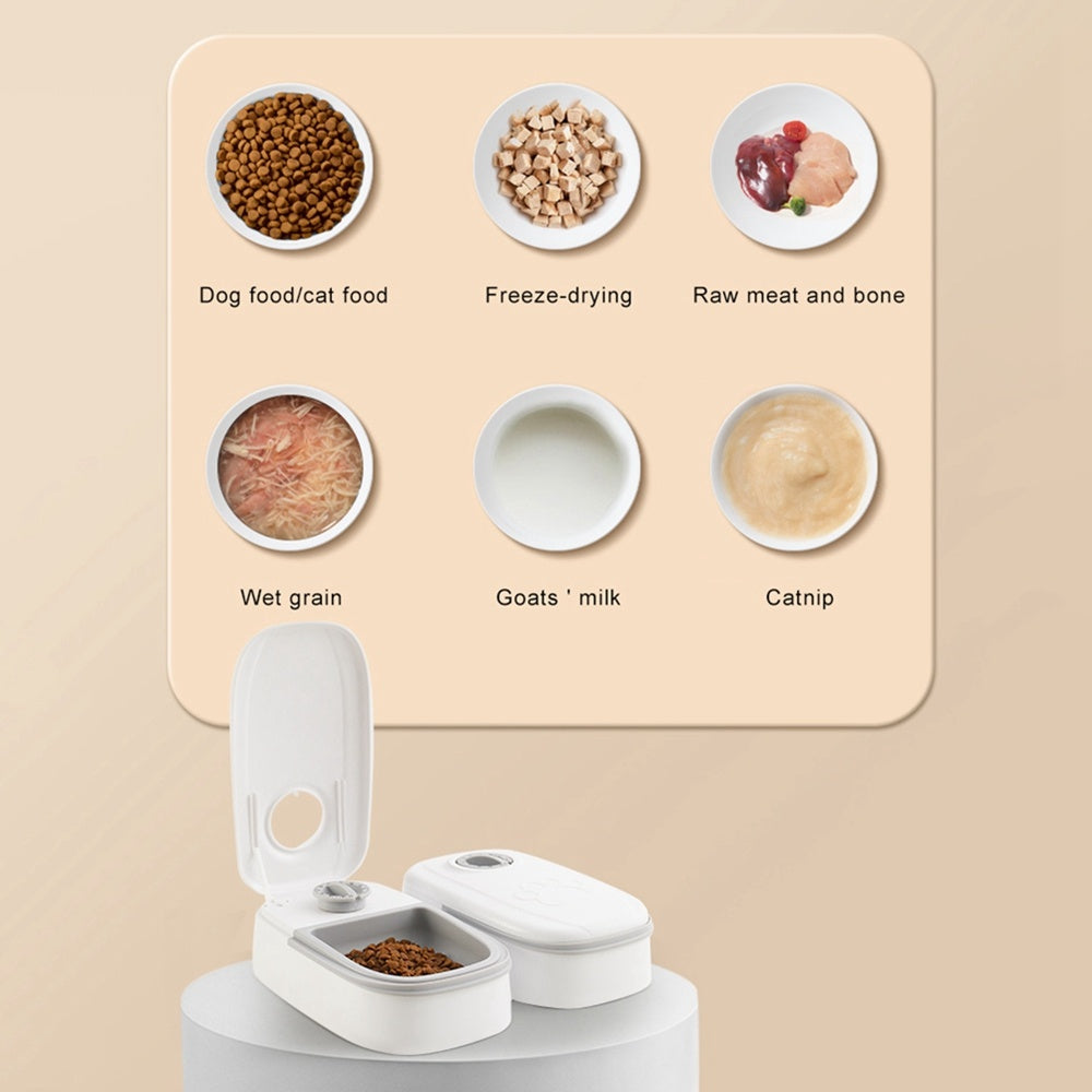 Smart Automatic Pet Feeder with Timer and Stainless Steel Bowl - Best Bark Bargains 