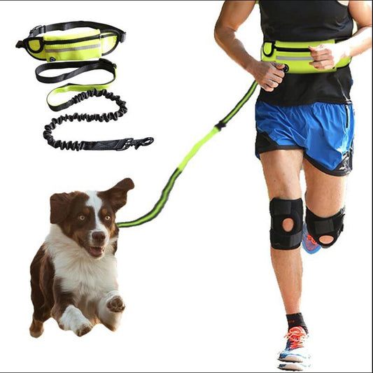 Hands-Free Dog Walking Belt – Shock-Absorbing Bungee Leash for Large Dogs with Storage Holder