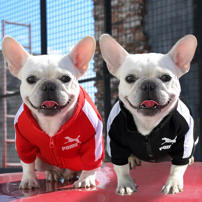 Warm Baseball-Style Dog Jacket for Small Breeds