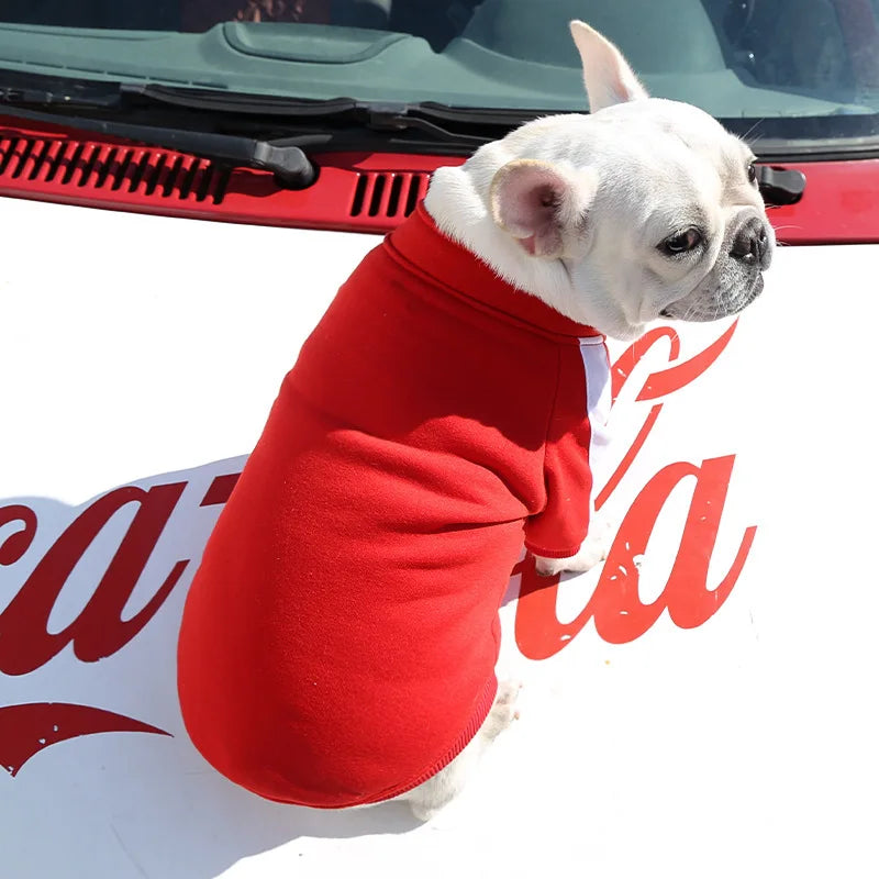 Warm Baseball-Style Dog Jacket for Small Breeds