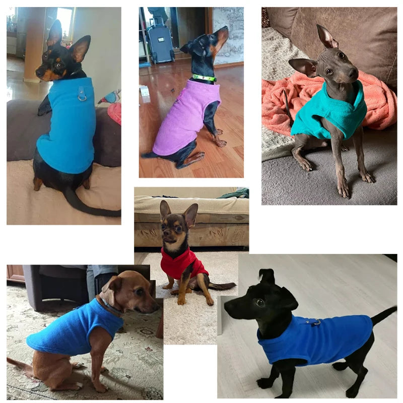 Snuggle Your Pup in Style – Winter Fleece Coat for Small Dogs & Kittens