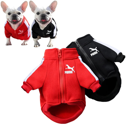 Warm Baseball-Style Dog Jacket for Small Breeds