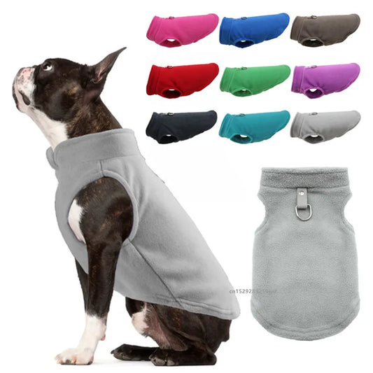 Winter Dog Jacket with D-Ring – Warm Coat for Small Dogs & Cats