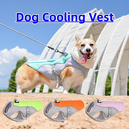 Summer Dog Cooling Vest – Lightweight, Sun-Proof, and Breathable