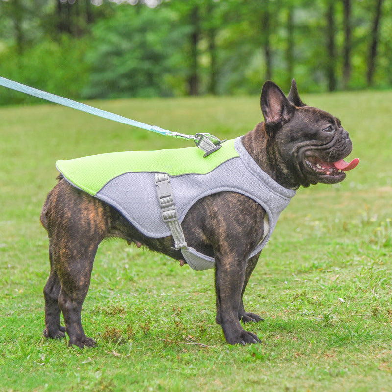 Summer Dog Cooling Vest – Lightweight, Sun-Proof, and Breathable